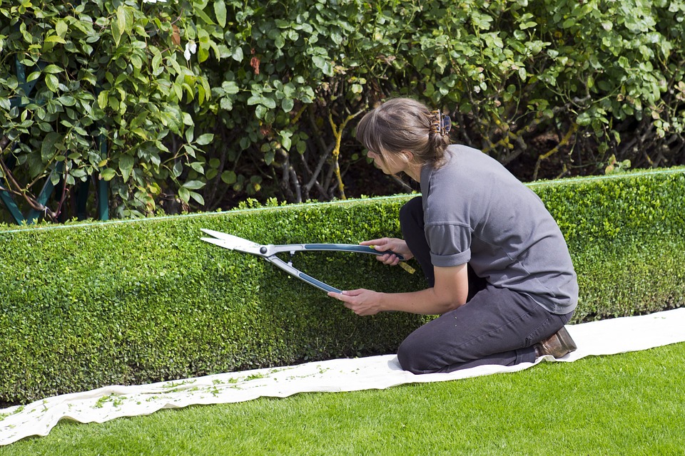 Les précautions à prendre lorsque vous faites du jardinage